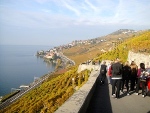 Hiking with the Friday HIkes Group